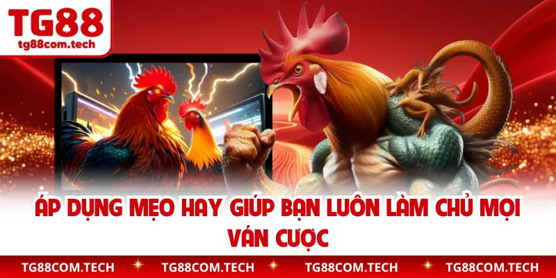 Áp dụng mẹo hay giúp bạn luôn làm chủ mọi ván cược