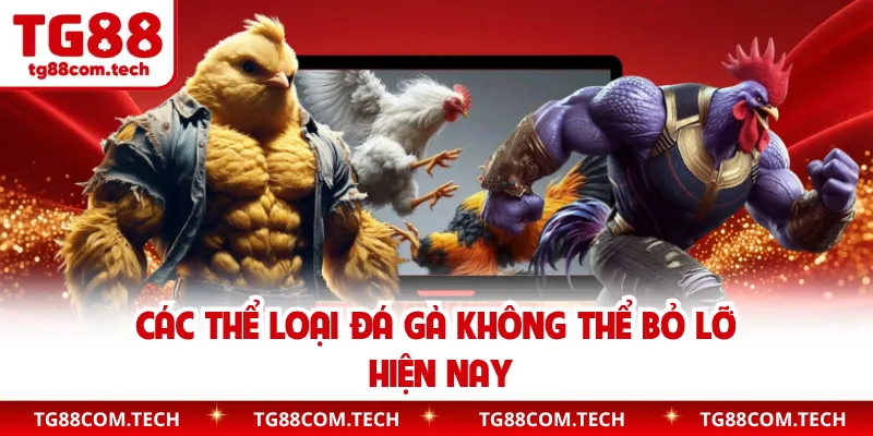 Các thể loại đá gà không thể bỏ lỡ hiện nay