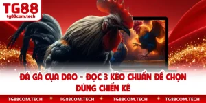 Đá Gà Cựa Dao - Đọc 3 Kèo Chuẩn Để Chọn Đúng Chiến Kê