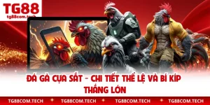 Đá Gà Cựa Sắt - Chi Tiết Thể Lệ Và Bí Kíp Thắng Lớn