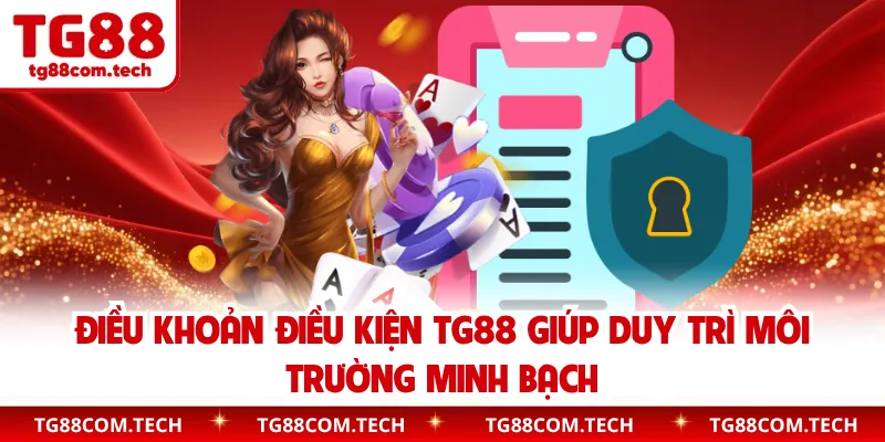 Điều khoản điều kiện TG88 giúp duy trì môi trường minh bạch