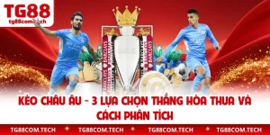 Kèo Châu Âu - 3 Lựa Chọn Thắng Hòa Thua Và Cách Phân Tích