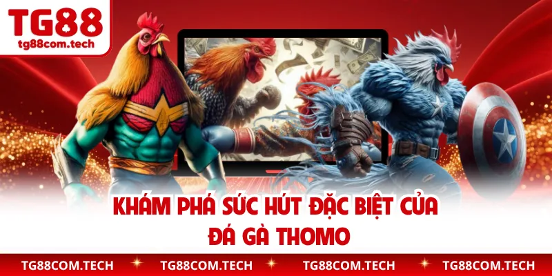 Khám phá sức hút đặc biệt của đá gà Thomo