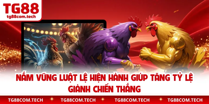 Nắm vững luật lệ hiện hành giúp tăng tỷ lệ giành chiến thắng