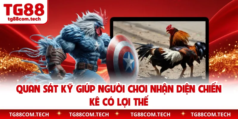 Quan sát kỹ giúp người chơi nhận diện chiến kê có lợi thế