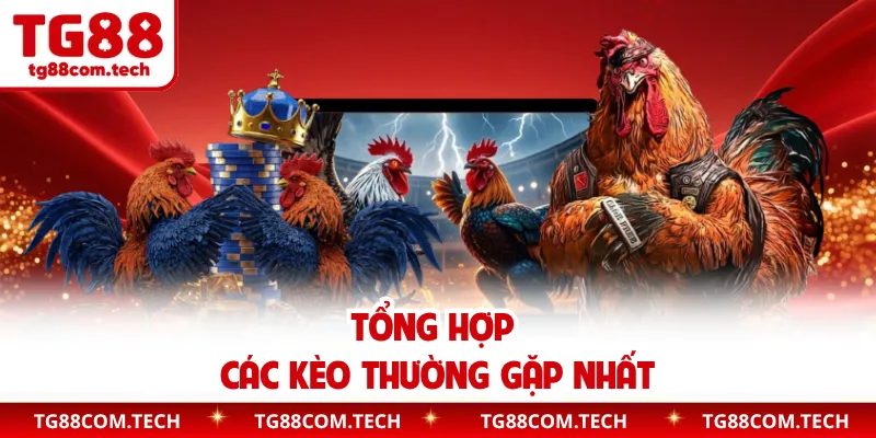 Tổng hợp các kèo thường gặp nhất